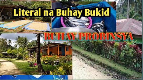 scandal sa bukid|Buhay sa bukid supper ginaw pagka bangon ko pero ang tahimik .